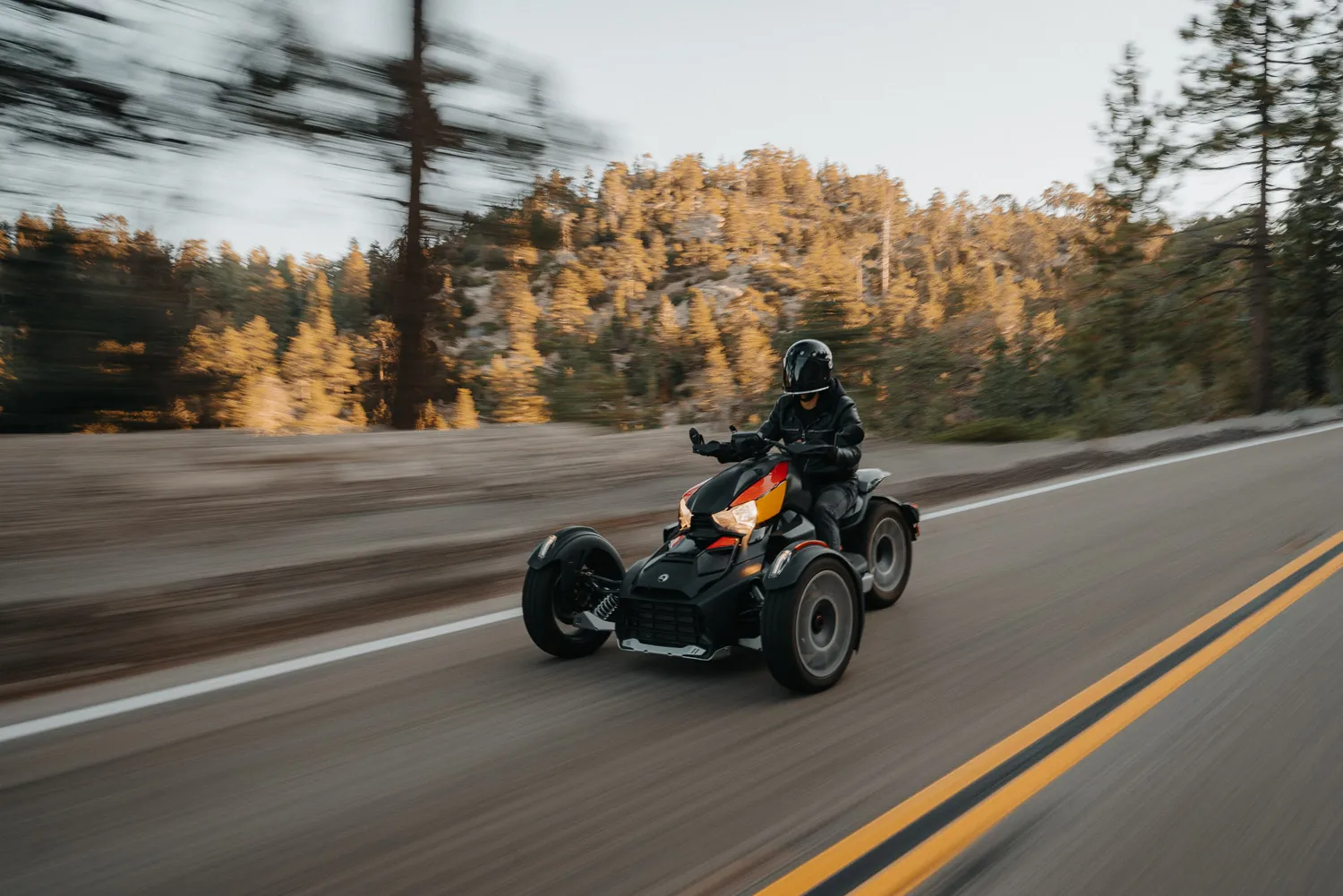 Can-Am Ryker, photo 24