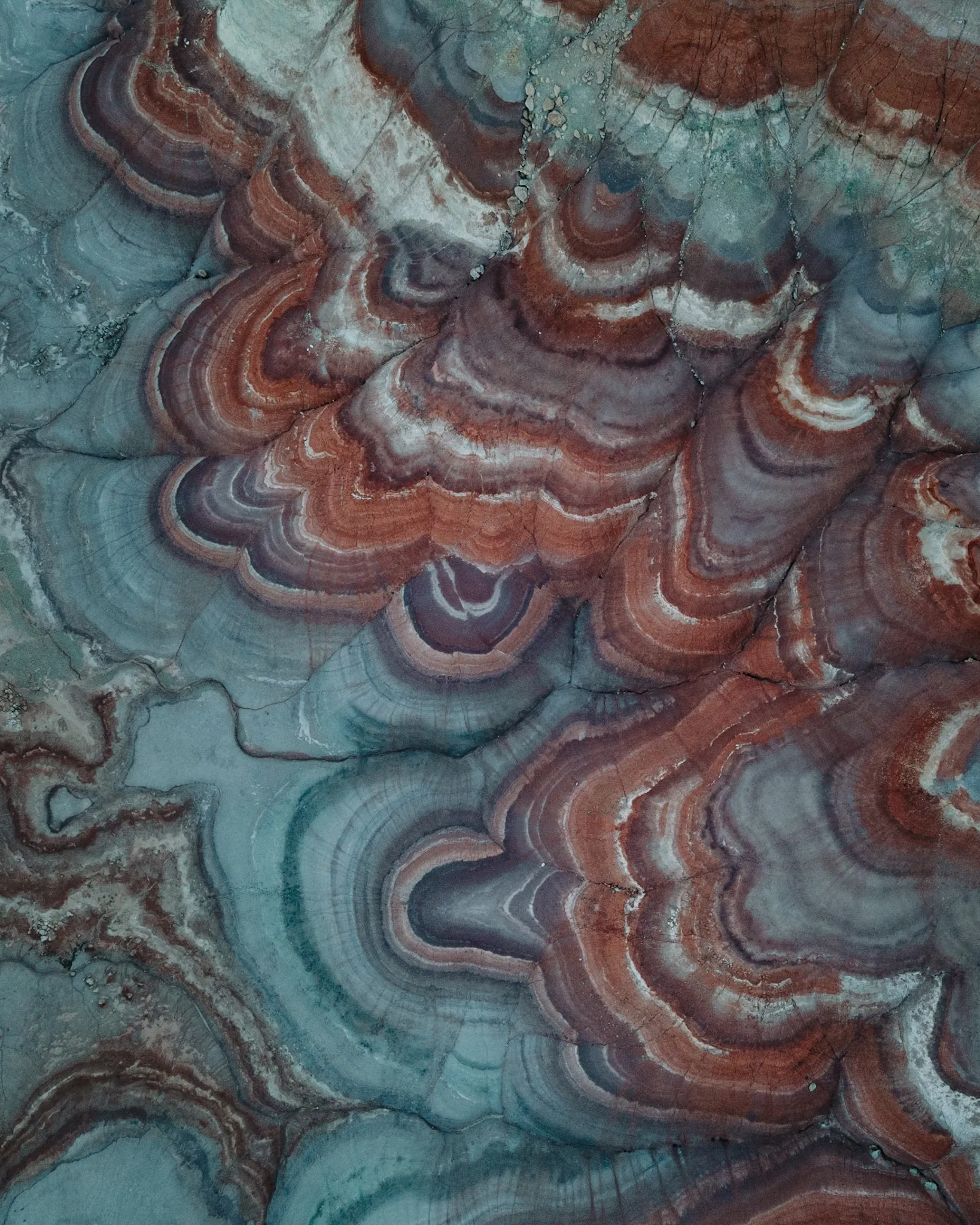 Collected Works photograph 2