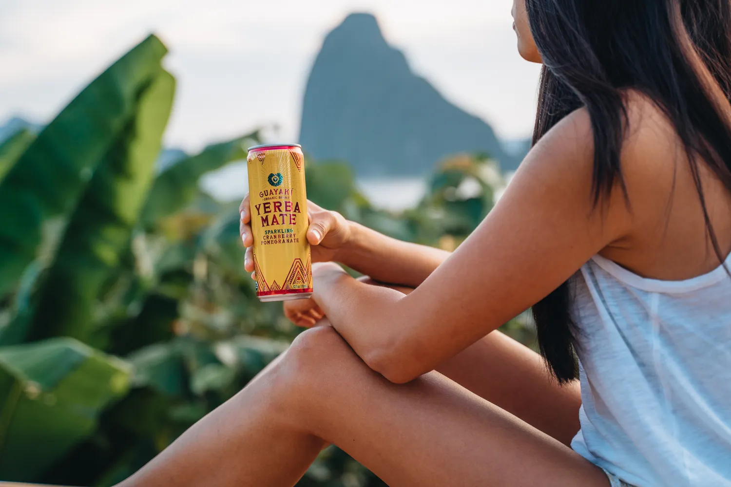 Guayaki Yerba Mate
