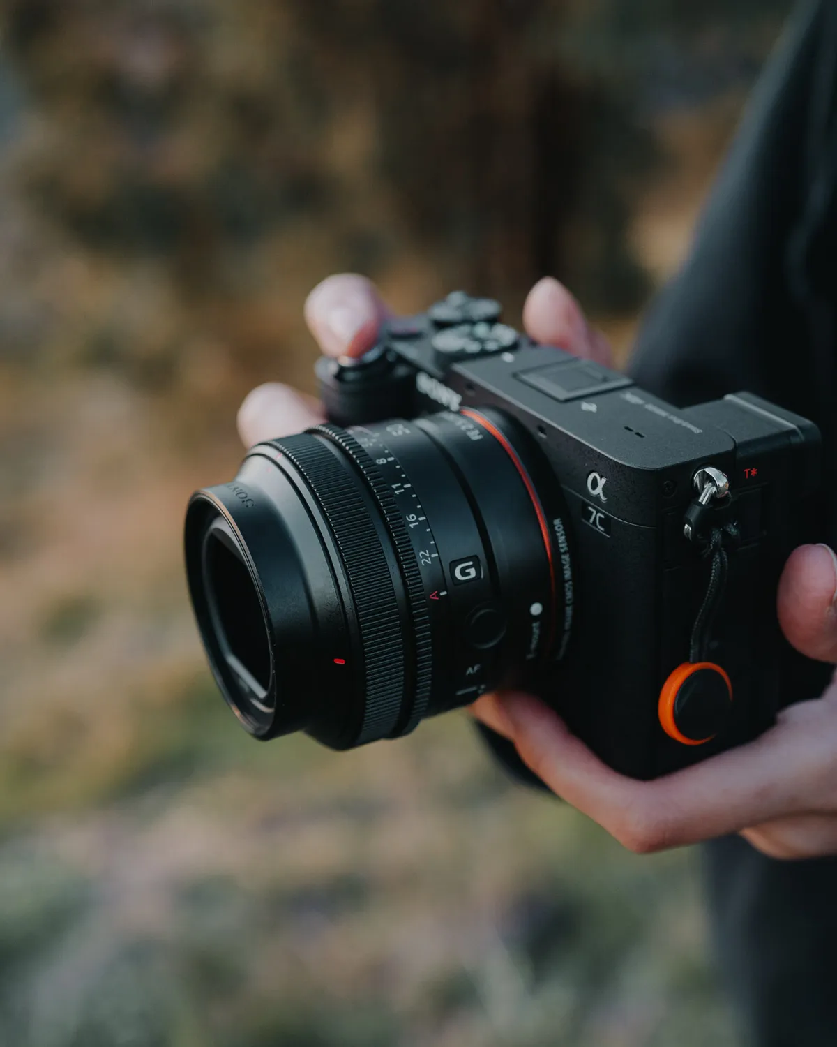 Sony Alpha, photo 25